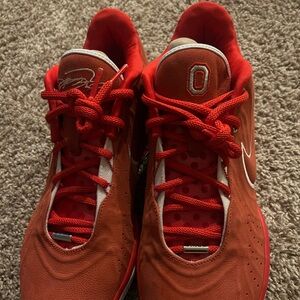 Ohio State Lebron 21 PE edition size 13